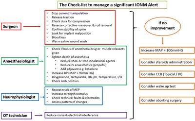 Transcranial Motor Evoked Potentials during Spinal Deformity Corrections—Safety, Efficacy, Limitations, and the Role of a Checklist